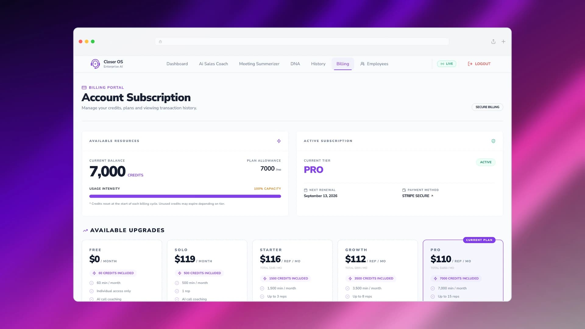 Stripe Subscription Tiers and Usage Credit Ledger Management